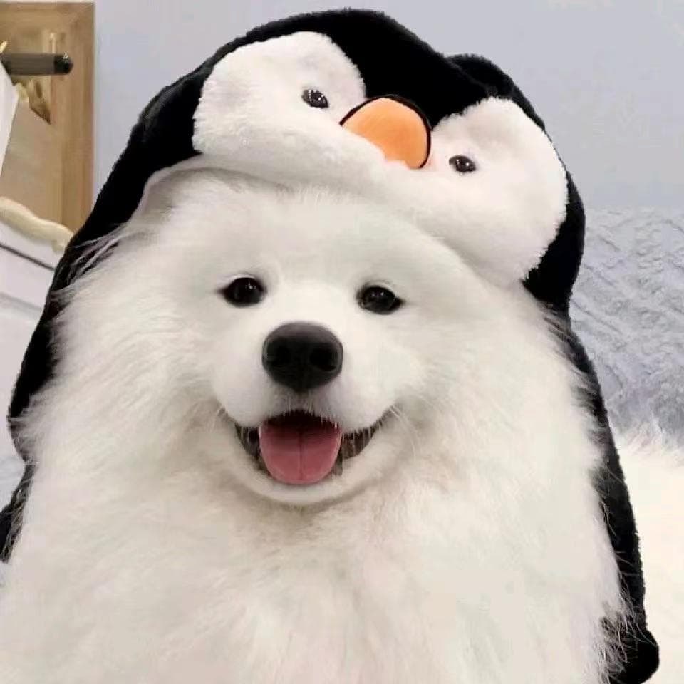 好好学习有限公司